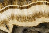 Polished Barite and Marcasite Slab - Lubin Mine, Poland #302260-1